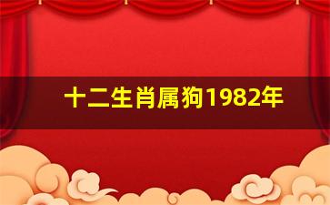 十二生肖属狗1982年