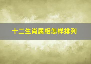 十二生肖属相怎样排列