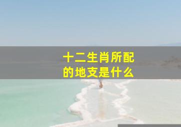 十二生肖所配的地支是什么