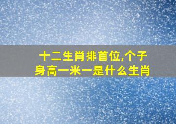 十二生肖排首位,个子身高一米一是什么生肖