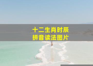 十二生肖时辰拼音读法图片