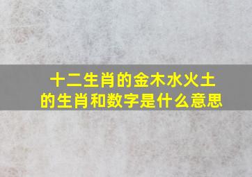 十二生肖的金木水火土的生肖和数字是什么意思