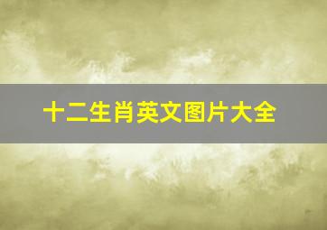 十二生肖英文图片大全