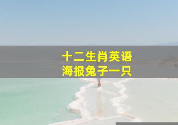 十二生肖英语海报兔子一只