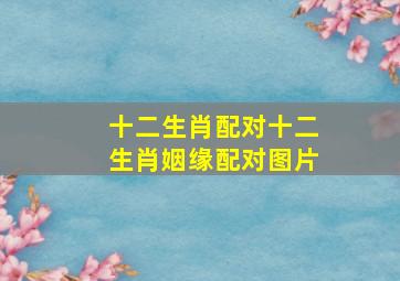 十二生肖配对十二生肖姻缘配对图片