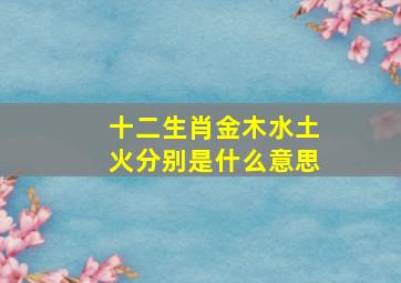 十二生肖金木水土火分别是什么意思