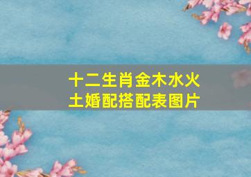 十二生肖金木水火土婚配搭配表图片