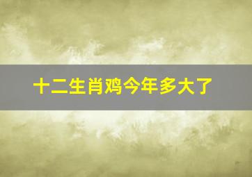 十二生肖鸡今年多大了