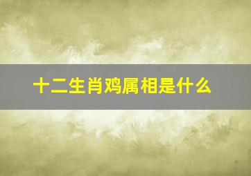 十二生肖鸡属相是什么