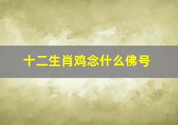 十二生肖鸡念什么佛号