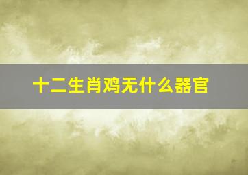 十二生肖鸡无什么器官