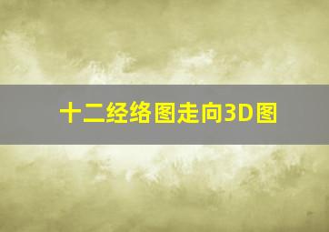 十二经络图走向3D图