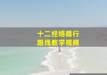 十二经络循行路线教学视频