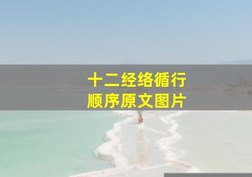 十二经络循行顺序原文图片