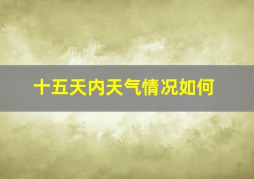 十五天内天气情况如何