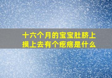 十六个月的宝宝肚脐上摸上去有个疙瘩是什么