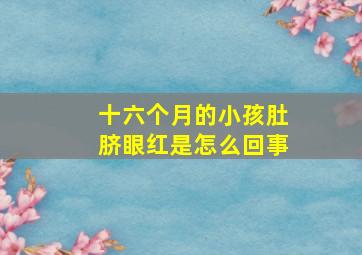 十六个月的小孩肚脐眼红是怎么回事