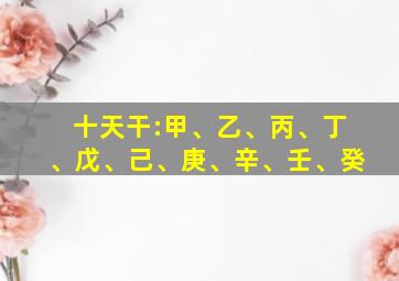 十天干:甲、乙、丙、丁、戊、己、庚、辛、壬、癸