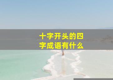 十字开头的四字成语有什么