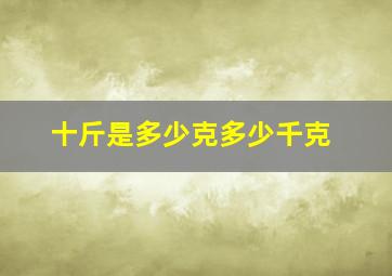 十斤是多少克多少千克