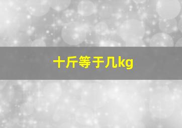 十斤等于几kg