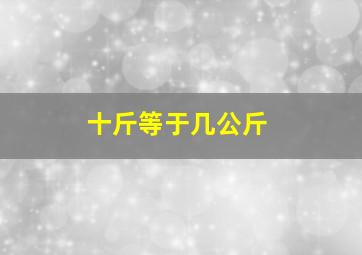 十斤等于几公斤