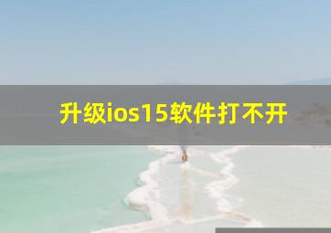 升级ios15软件打不开