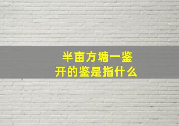 半亩方塘一鉴开的鉴是指什么