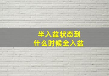 半入盆状态到什么时候全入盆