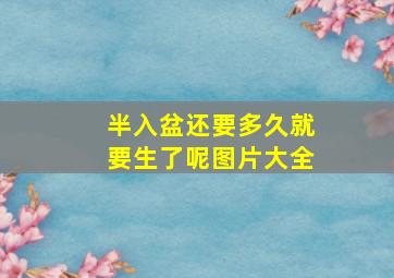 半入盆还要多久就要生了呢图片大全