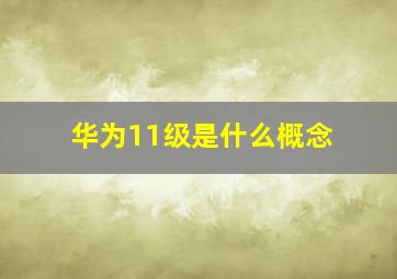 华为11级是什么概念