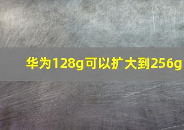 华为128g可以扩大到256g