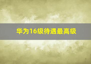 华为16级待遇最高级