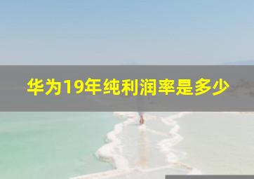 华为19年纯利润率是多少