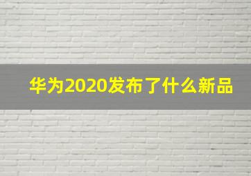 华为2020发布了什么新品