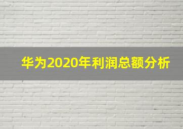 华为2020年利润总额分析