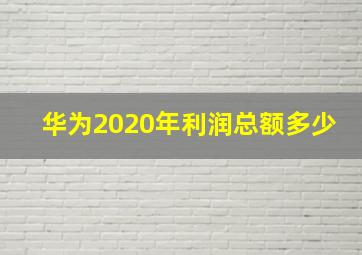 华为2020年利润总额多少