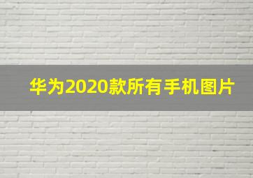 华为2020款所有手机图片