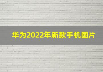 华为2022年新款手机图片