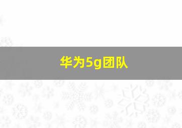 华为5g团队