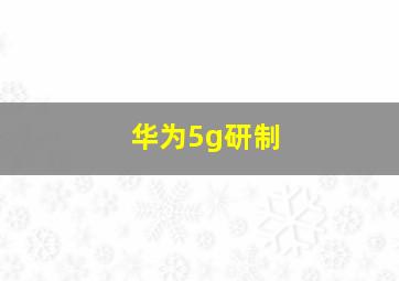 华为5g研制