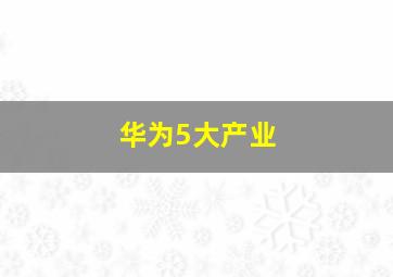 华为5大产业