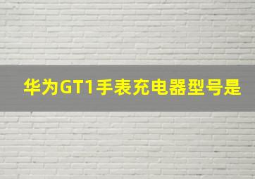 华为GT1手表充电器型号是