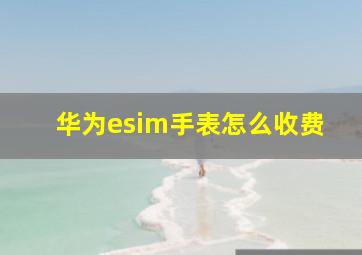 华为esim手表怎么收费