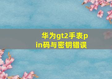 华为gt2手表pin码与密钥错误