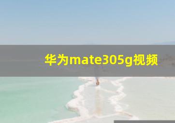 华为mate305g视频