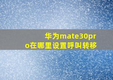 华为mate30pro在哪里设置呼叫转移