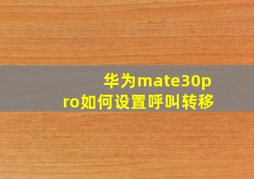 华为mate30pro如何设置呼叫转移