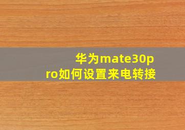 华为mate30pro如何设置来电转接