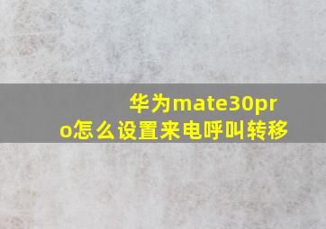 华为mate30pro怎么设置来电呼叫转移